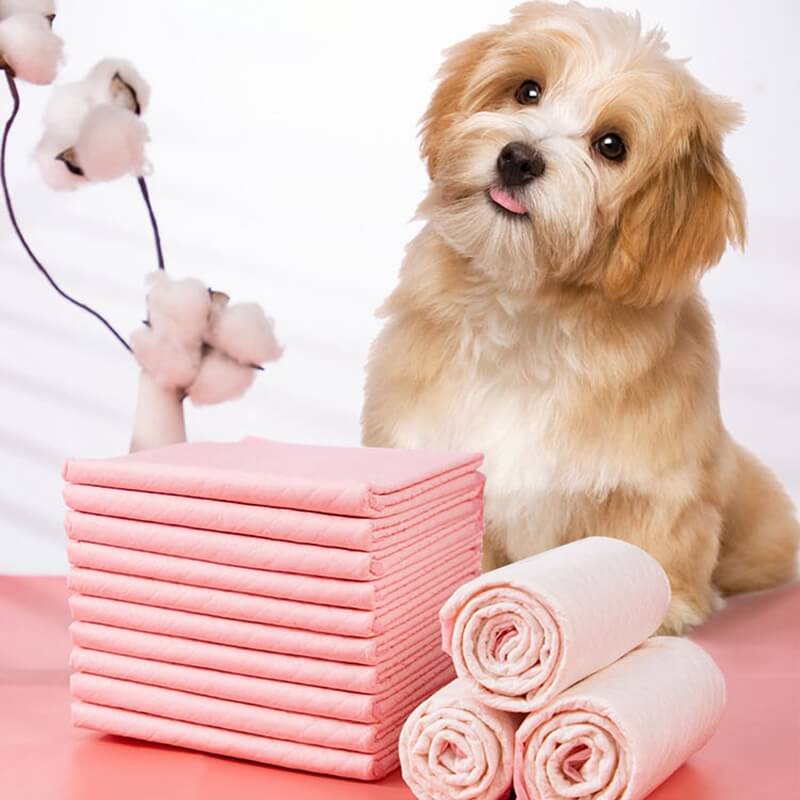 Almofadas Descartáveis Super Absorventes para Treinamento de Cães